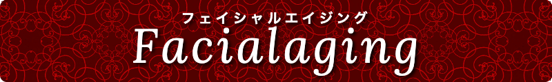 出張メンズエステ出張マッサージメベル東京フェイシャルエイジングFacialaging