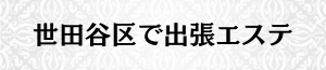 出張メンズエステ出張マッサージの世田谷区で出張エステ