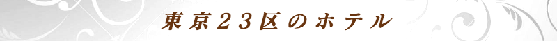 出張メンズエステ出張マッサージメベル東京の東京23区のホテル