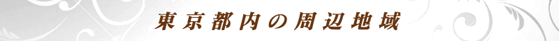 出張メンズエステ出張マッサージメベル東京の東京都内の周辺地域