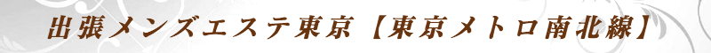 出張メンズエステ出張マッサージメベル東京の出張メンズエステ東京【東京メトロ南北線】