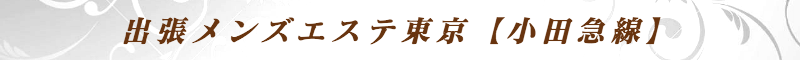 出張メンズエステ出張マッサージメベル東京の出張メンズエステ東京【小田急線】