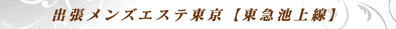 出張メンズエステ出張マッサージメベル東京の出張メンズエステ東京【東急池上線】