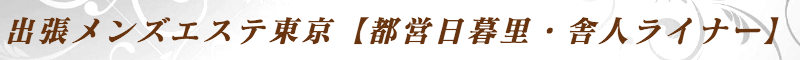 出張メンズエステ出張マッサージメベル東京の出張メンズエステ東京【都営日暮里・舎人ライナー】