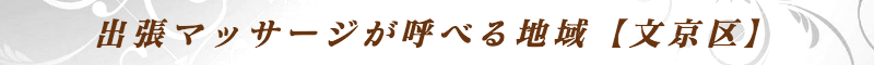 出張メンズエステ出張マッサージメベル東京の出張マッサージが呼べる地域【文京区】