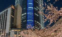 出張マッサージ六本木ヒルズ