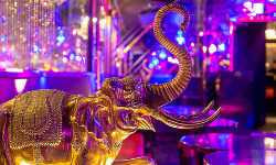 出張マッサージマハラジャ六本木