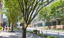 出張マッサージ閑静な西麻布