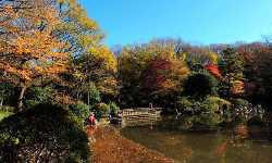 出張マッサージ有栖川記念公園