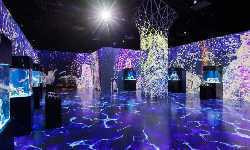 出張マッサージしながわ水族館