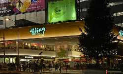 出張マッサージ品川高輪ウィング