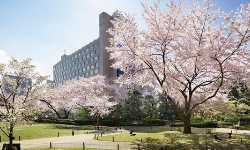 出張マッサージプリンスさくらタワー