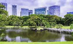 出張マッサージ汐留自然