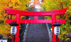 出張マッサージ愛宕神社