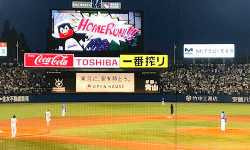 出張マッサージ神宮球場