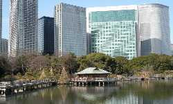 出張マッサージ浜離宮庭園