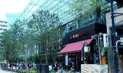 出張マッサージコレド