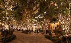 出張マッサージ日比谷イルミネーション