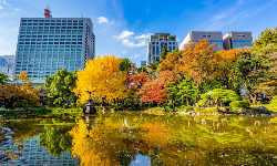 出張マッサージ日比谷公園