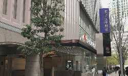 出張マッサージ日比谷宝塚劇場