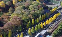 出張マッサージ千鳥ヶ淵