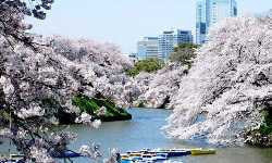 出張マッサージ麹町千鳥ヶ淵