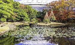 出張マッサージ水道橋後楽園